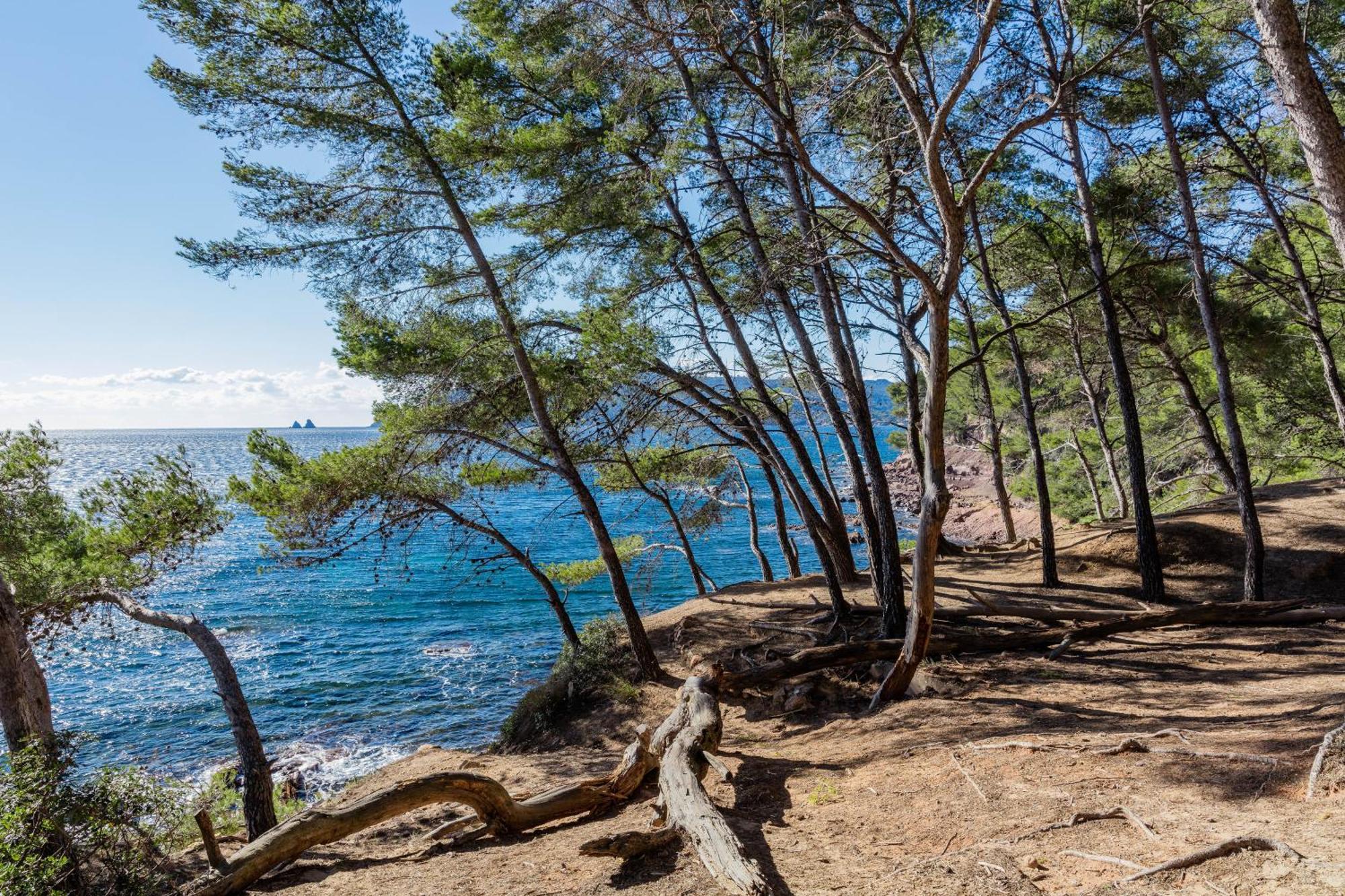 Superbe Studio Avec Terrasse Proximite Plage Saint-Mandrier-sur-Mer Zewnętrze zdjęcie